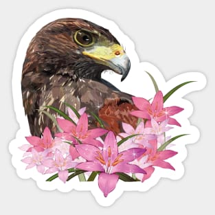 harris hawk Sticker